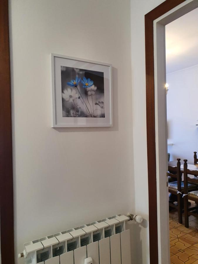 Blue Daisy Apartment 拉帕洛 外观 照片